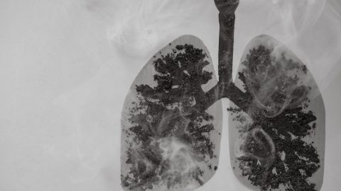 Image of human lungs damaged by tobacco and cigarette smoking. No tobacco day. Space for text, message, advertisement